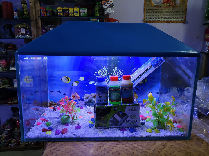 Aquarium