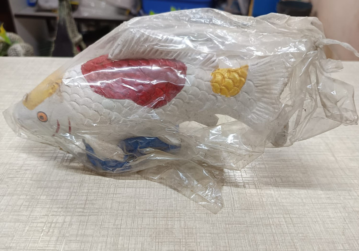 Fish