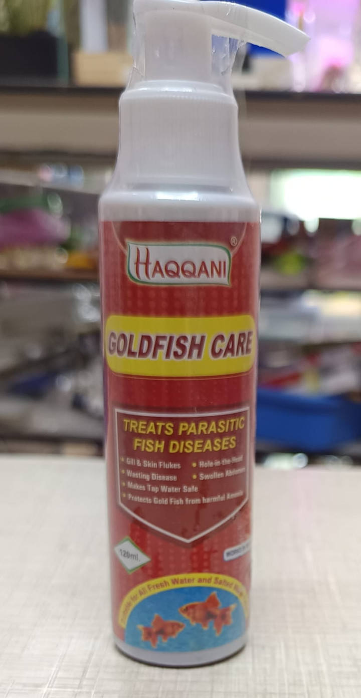 Gold Fish Care