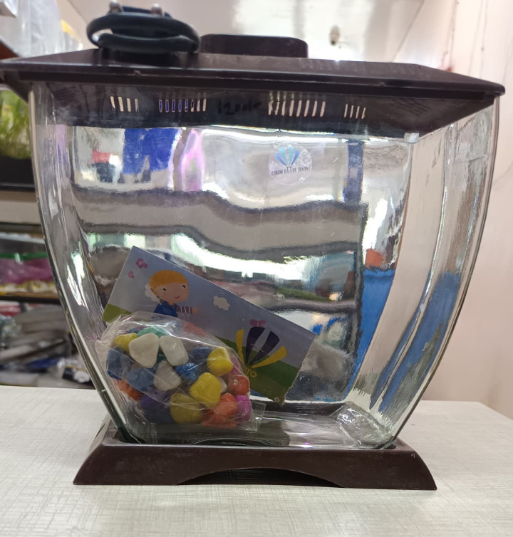 Pearl Mini