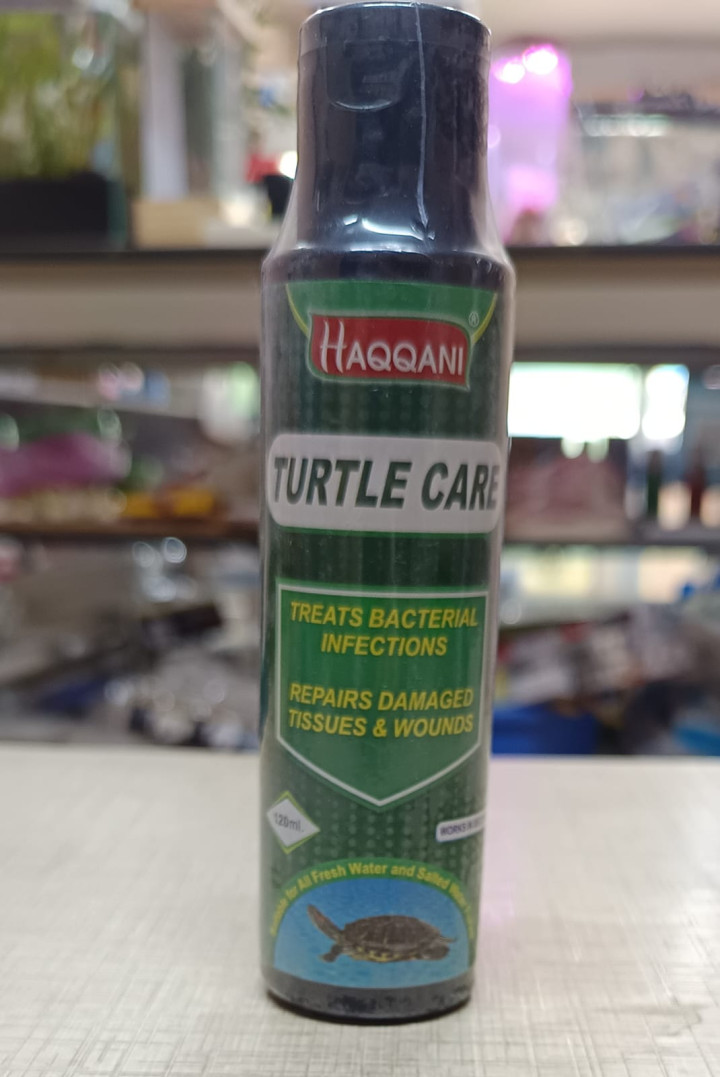 Turtle Care