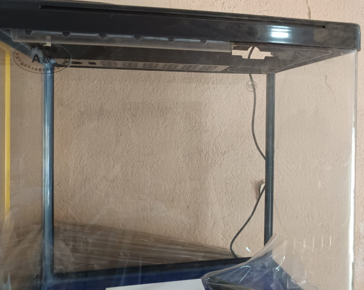 aquarium 12 inch