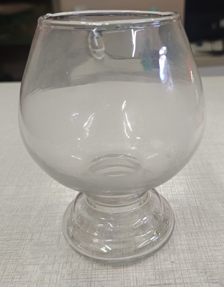 small wine glass aquarium