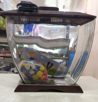 Pearl Mini