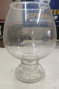 big wine glass aquarium