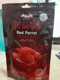 drools red parrot