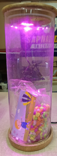 silengical aquarium