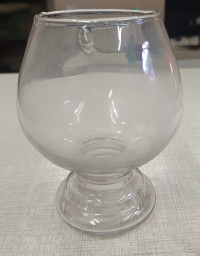 small wine glass aquarium
