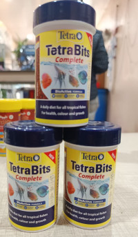 tetra bits